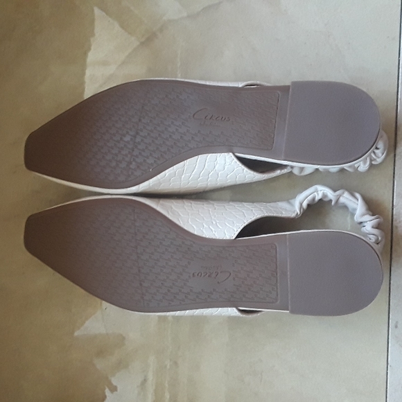 Womens Brand New sz10 Shoes by Circus Sam Elderman - Picture 5 of 7